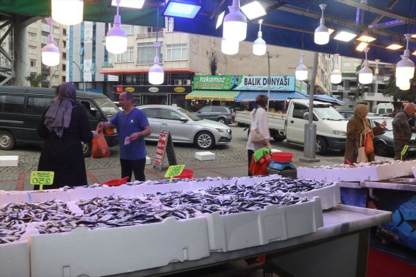 Karadeniz’de hamsi bolluğu: Rize’de 100 Sinop’ta 50 lira