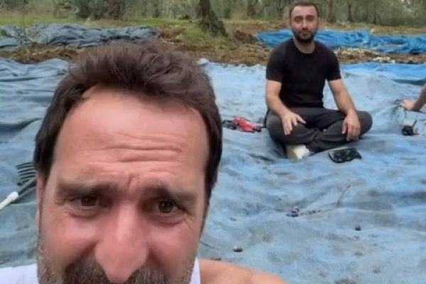 Oyunculuktan çiftçiliğe; Timur Acar ilk zeytin hasadını yaptı